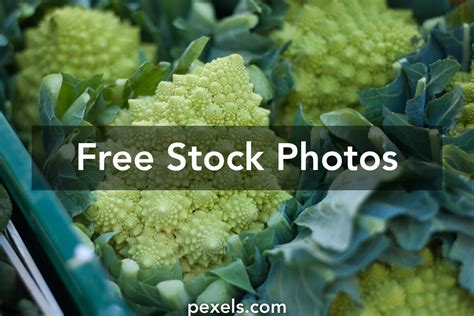 Broccoli Flowers Photos, Download The BEST Free Broccoli Flowers Stock ...