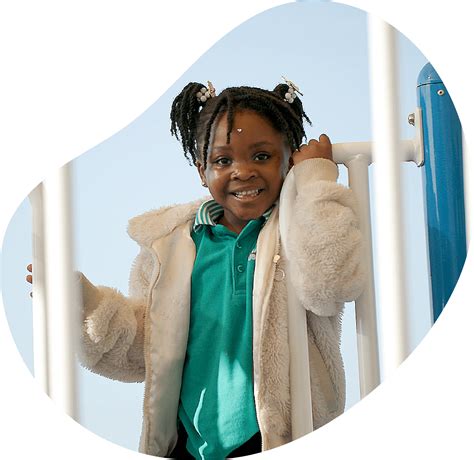 Read the full report about the mysterious D 21 17