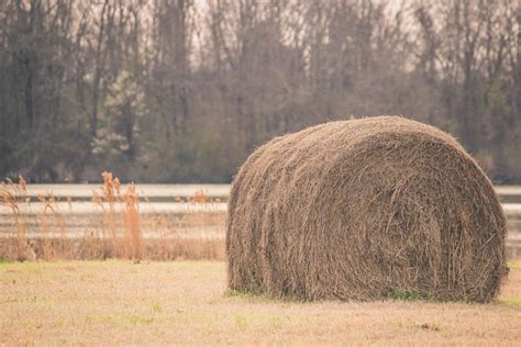 La Campagne Cultiver Agriculture Photo Gratuite Sur Pixabay Pixabay