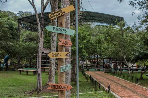 Parque Natural De Porto Velho Recebe Walking Tour Ecol Gico No S Bado