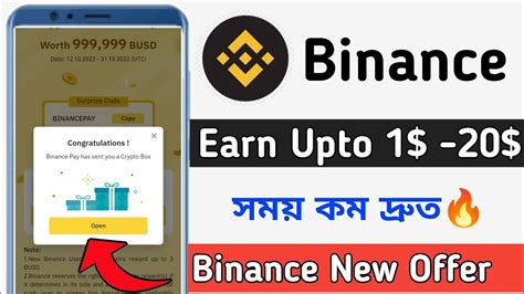 Binance Busd Profitbinance Pay P P Offer Today Binance New