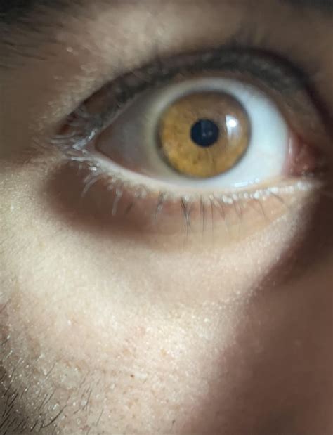 Brown/amber eyes : r/eyes