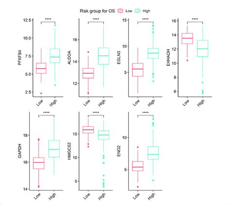 Boxplots Visualizing The Expression Level Of Genes According To Risk