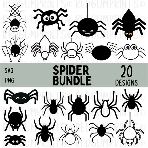 Spider Svg Bundle Spider Svg Halloween Insect Svg Png Svg Files