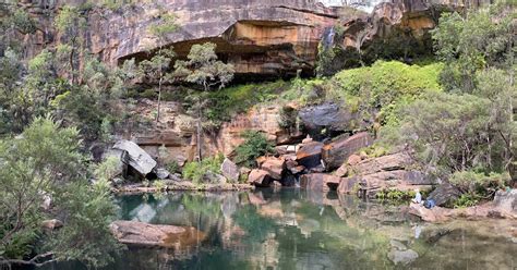 anna maria: Blackdown Tablelands National Park, Qld. Australia