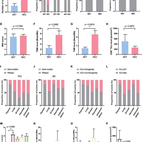 Landscape Of Genomic Alterations Genomic And Immune Related Download Scientific Diagram