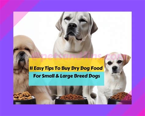 11 Tips To Buy Dry Dog Food For Small & Large Breed Dogs