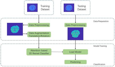 Frontiers A Deep Learning Based Model For Classification Of Different