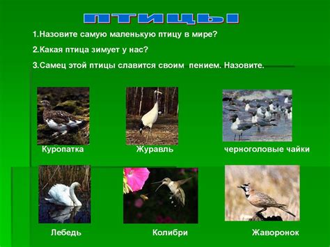 «Все обо всем» (викторина) - online presentation