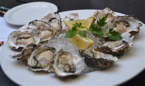 Eating Oysters at the Oyster Bar? Read Their Health Benefits – The ...