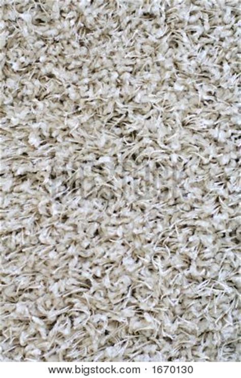 Shaggy Carpet Texture Image Photo Free Trial Bigstock