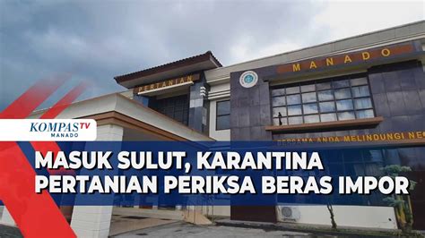 Masuk Sulut Karantina Pertanian Periksa Beras Impor YouTube