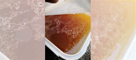 Мед башкирский липовый цветочный купить в Уфе | Товары для дома и дачи ...