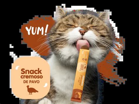 Chunky Men Natural Cremoso Gatos Italcol Mascotas