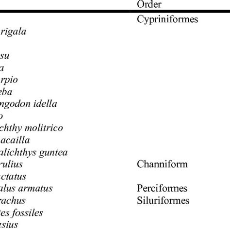 Systematic position of fish fauna of Mainpat waterfalls | Download Table