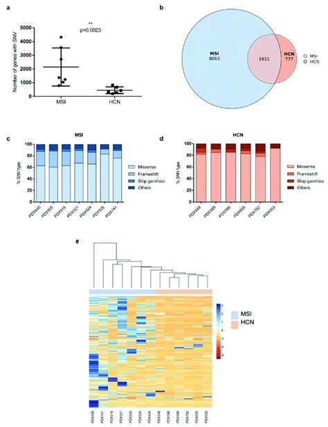 Molecular Characterization Of Pdx Models Based On Single Nucleotide