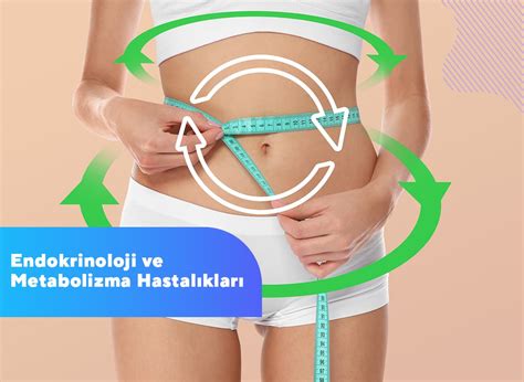 Endokrinoloji Ve Metabolizma Hastal Klar Op Dr M Cteba G Nd Z