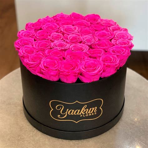 Rosas Eternas En Caja Negra Circular Rosas Fuchsia Yaakun Flores