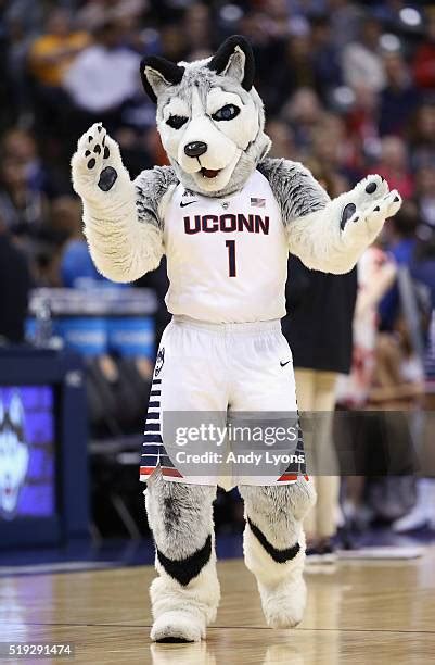 Huskies Mascot Photos and Premium High Res Pictures - Getty Images