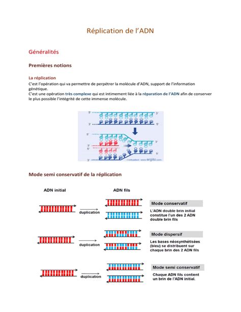 R Plication De L Adn