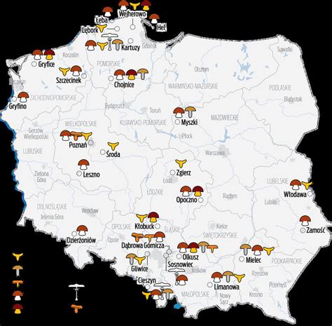 Aktualna mapa występowania grzybów Na Pomorzu i na Śląsku pełne kosze