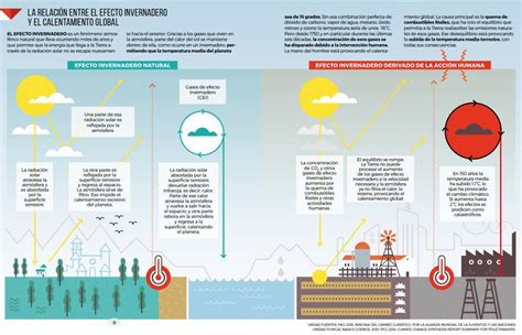 Día Mundial del Medio Ambiente Ocho gráficos para entender los retos