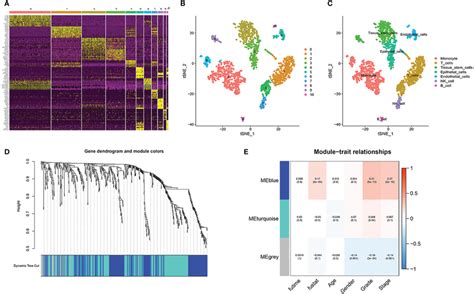 Single Cell Sequencing Analysis A Highest Expressed Genes In Each