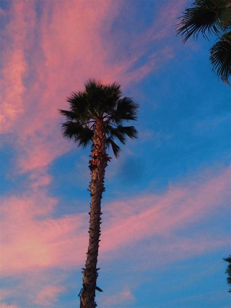 Pink And Blue Sunset Wallpaper : #sunset #i love sunsets #pink sunset # ...