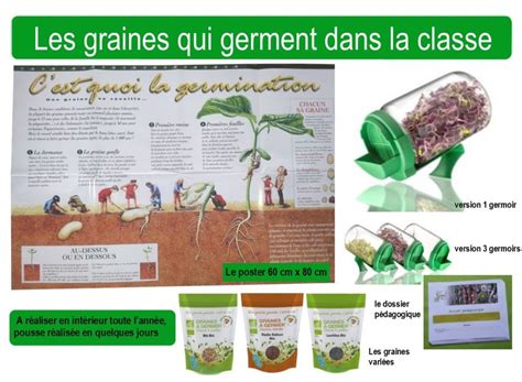 Tp De Germination Des Graines Pdf