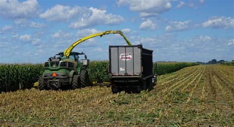 Webinar Considerations For Choosing A Corn Silage Hybrid Morning Ag