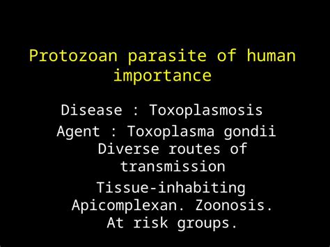 (PPT) Protozoan parasite of human importance Disease : Toxoplasmosis ...