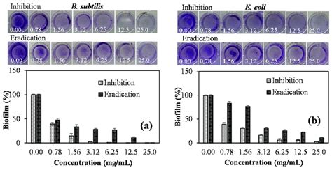 The Photographs And Inhibition And Eradication Of Biofilms Generated