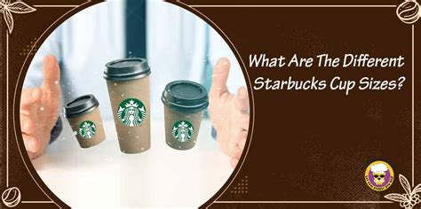 What Are The Different Starbucks Cup Sizes Mountain Lyon Cafe