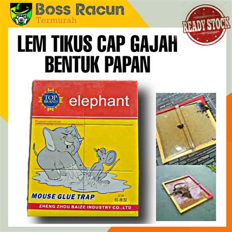 Jual Lem Tikus Cap Gajah Jebakan Trap Papan Buku Impor Perangkap Cap