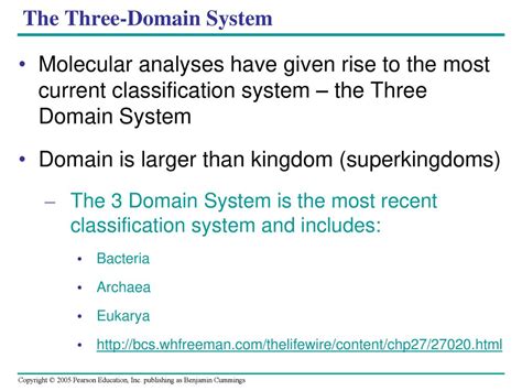 Phylogeny And The Tree Of Life Ppt Download