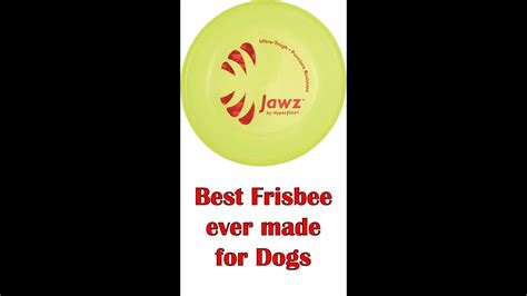 Best Flying Discs Frisbees Ever Made For Dogs Youtube