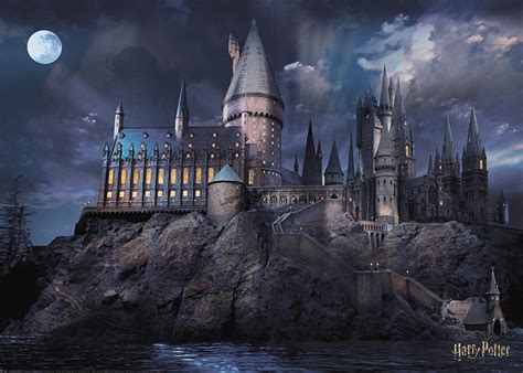 harry potter hogwarts  night poster poster store nz