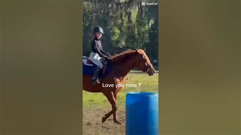 My Heart Horse Youtube