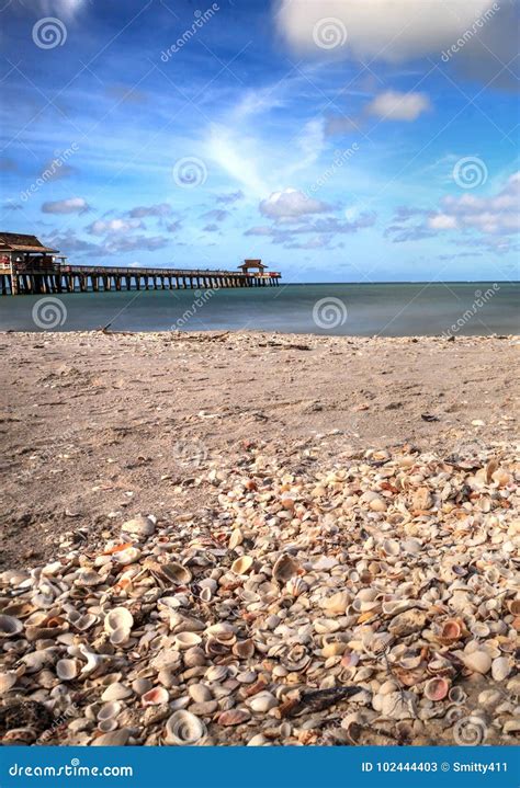 Long Exposure Of Shells On Naples Beach Florida Stock Image Image Of