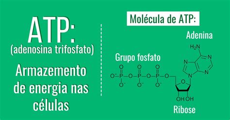 Abril 2017 Blog Do Enem