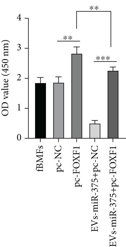 Ev Carried Mir 375 Inhibits The Fibrosis Of Fbmfs Via Targeting Foxf1