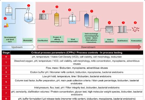 A proposed simplified bioprocess flow diagram for an anti-SARS-CoV-2... | Download Scientific ...