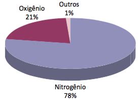 Ar Atmosférico: Origem, Composição e Gases do Ar - Cola da Web