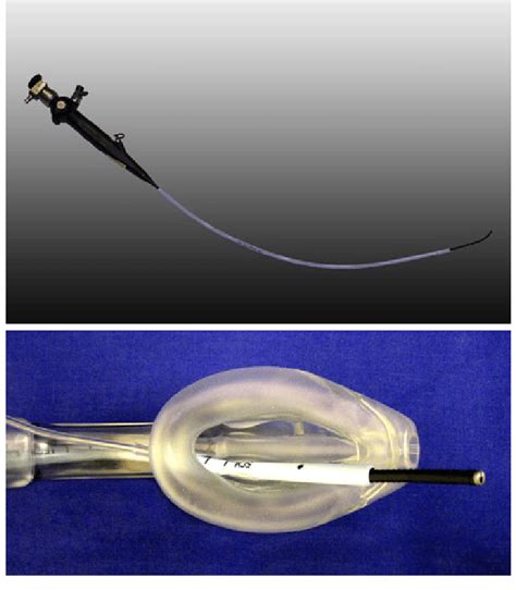 Top Aintree Intubation Catheter Is Placed Over A Flexible