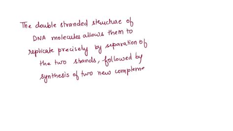 Solved What Is The Structural Feature That Allows Dna To Replicate A