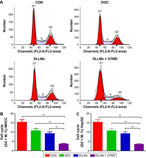 Flow Cytometric Analysis Of Cell Cycles Of Mhcc H Cells Notes A