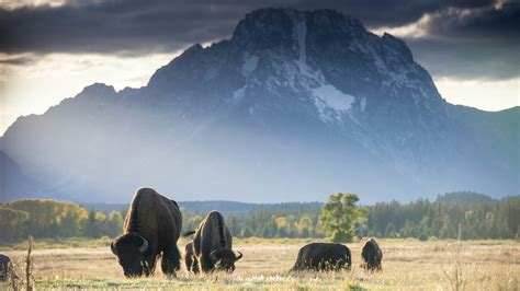 9 best things to do in Wyoming - Lonely Planet