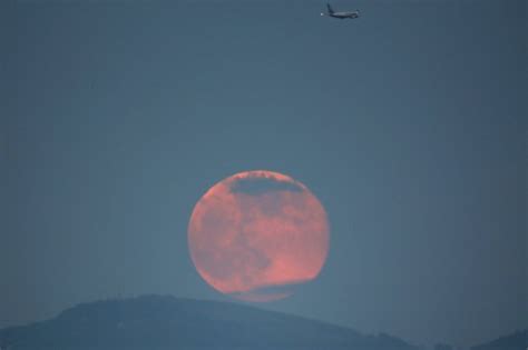 आज यानि 11 अप्रैल को चांद की चांदनी होगी गुलाबी क्योंकि आसमान में दिखेगा Pink Moon