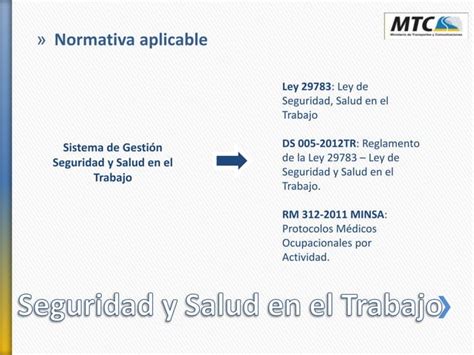 Induccion Elizet Seguridad Ppt