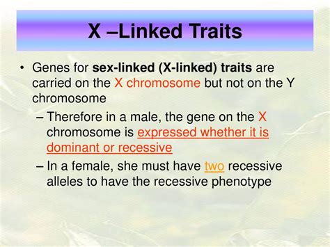 Sex Linkage Ppt Download